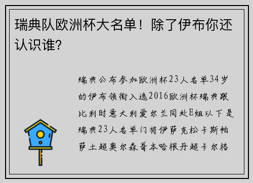 瑞典队欧洲杯大名单！除了伊布你还认识谁？