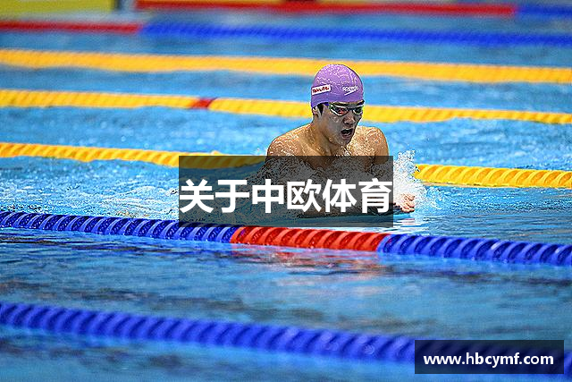 关于中欧体育
